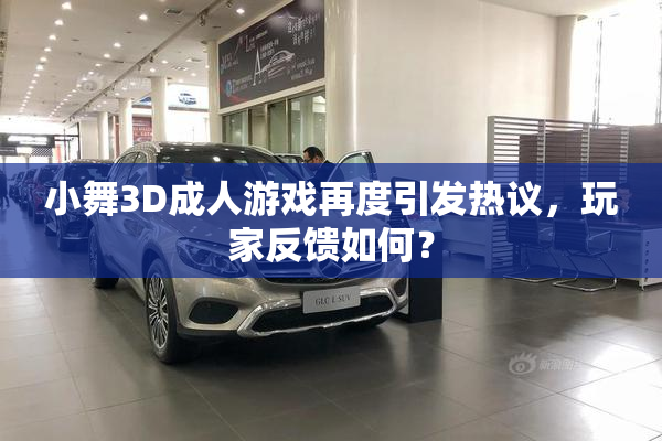 小舞3D成人游戏再度引发热议，玩家反馈如何？