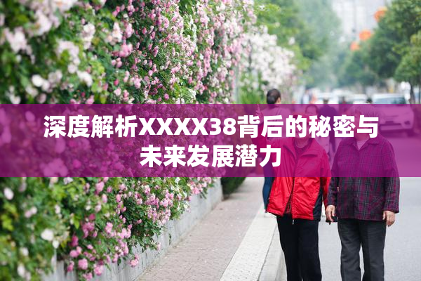 深度解析XXXX38背后的秘密与未来发展潜力