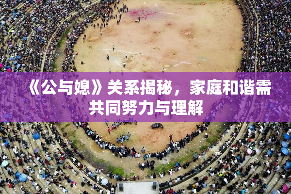 《公与媳》关系揭秘，家庭和谐需共同努力与理解