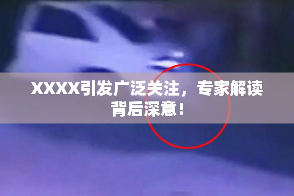 XXXX引发广泛关注，专家解读背后深意！