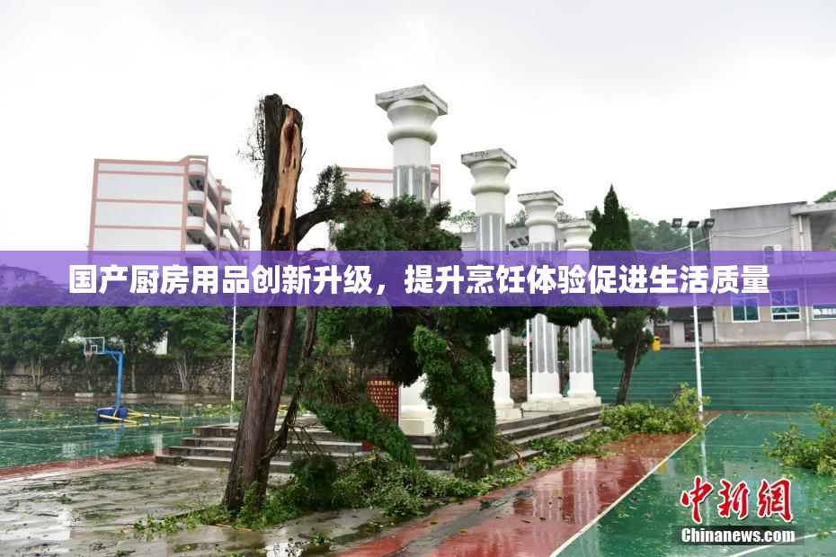 国产厨房用品创新升级，提升烹饪体验促进生活质量