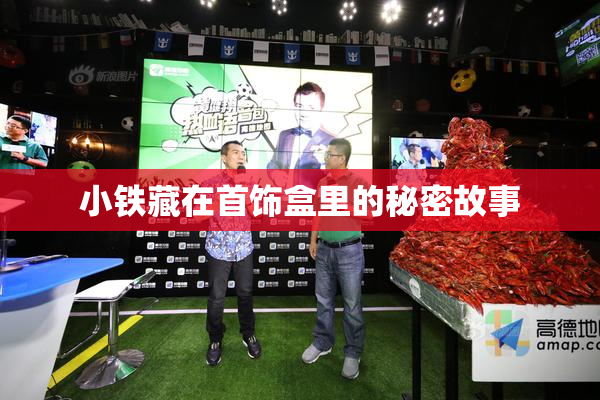 小铁藏在首饰盒里的秘密故事