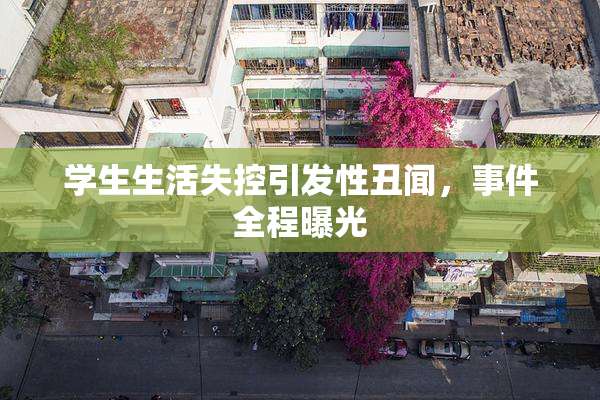 学生生活失控引发性丑闻，事件全程曝光