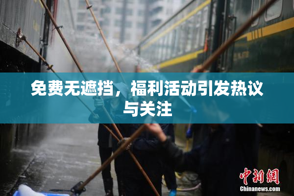 免费无遮挡，福利活动引发热议与关注