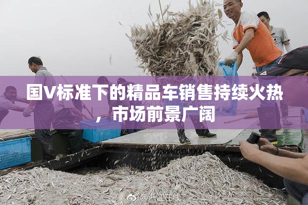 国V标准下的精品车销售持续火热，市场前景广阔