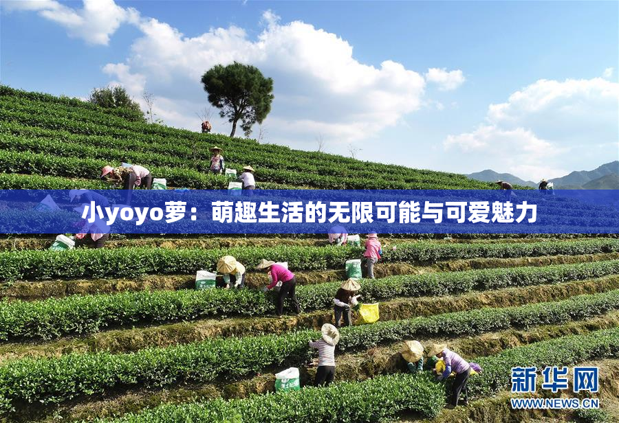 小yoyo萝：萌趣生活的无限可能与可爱魅力
