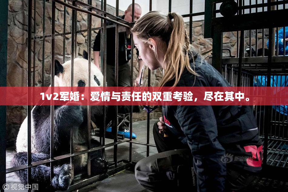 1v2军婚：爱情与责任的双重考验，尽在其中。