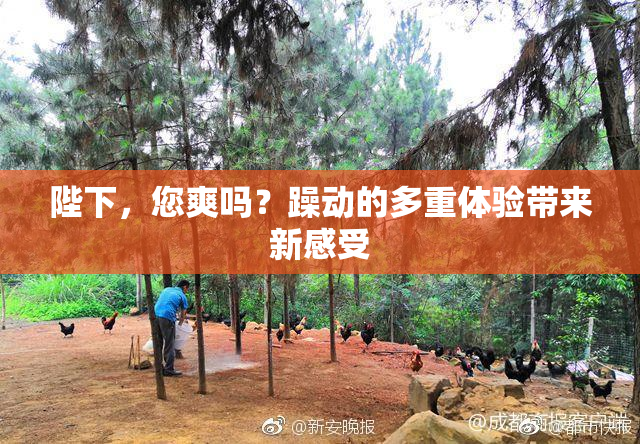 陛下，您爽吗？躁动的多重体验带来新感受