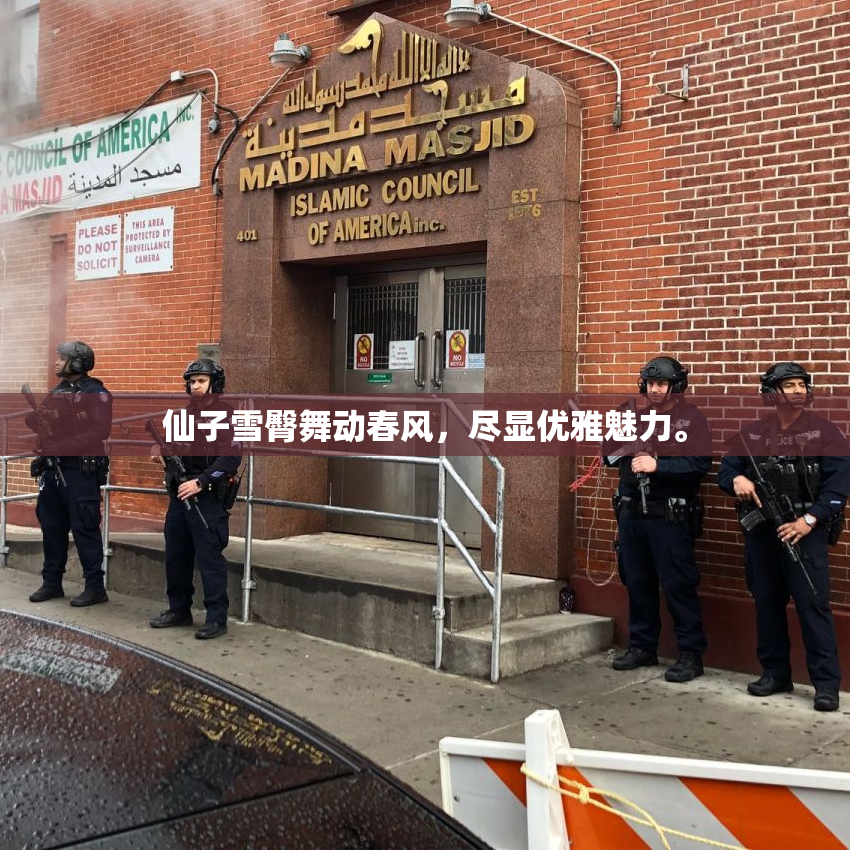 仙子雪臀舞动春风，尽显优雅魅力。