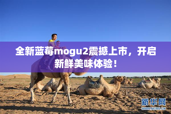 全新蓝莓mogu2震撼上市，开启新鲜美味体验！