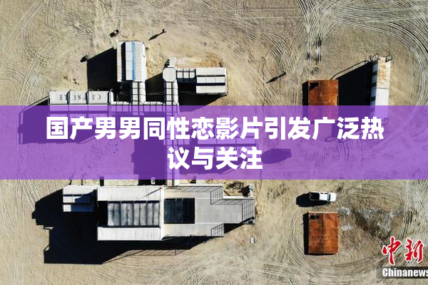 国产男男同性恋影片引发广泛热议与关注