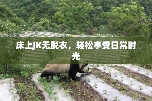 床上JK无脱衣，轻松享受日常时光
