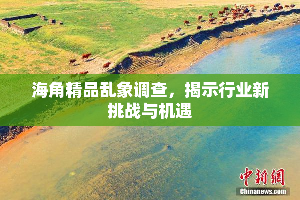 海角精品乱象调查，揭示行业新挑战与机遇