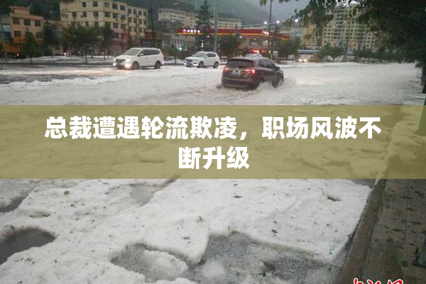 总裁遭遇轮流欺凌，职场风波不断升级
