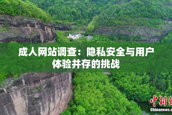 成人网站调查：隐私安全与用户体验并存的挑战
