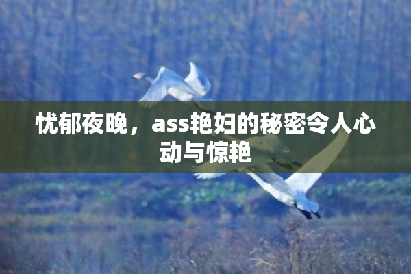 忧郁夜晚，ass艳妇的秘密令人心动与惊艳