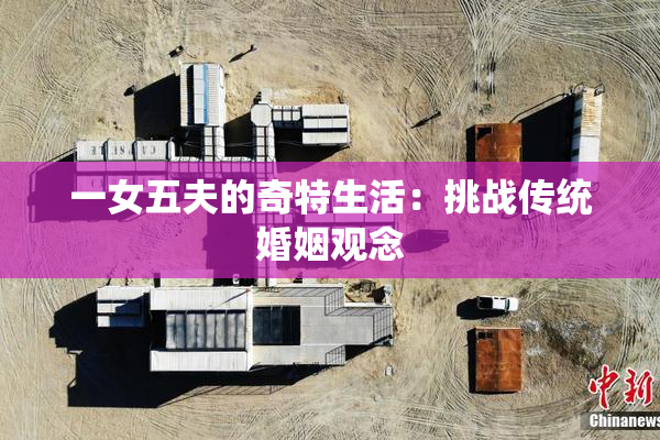 一女五夫的奇特生活：挑战传统婚姻观念