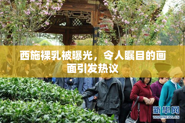 西施裸乳被曝光，令人瞩目的画面引发热议