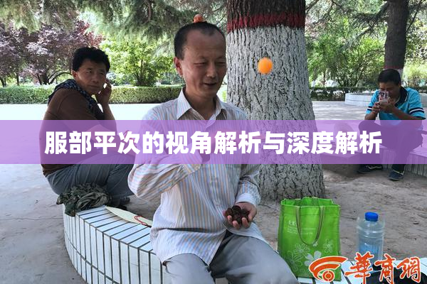 服部平次的视角解析与深度解析