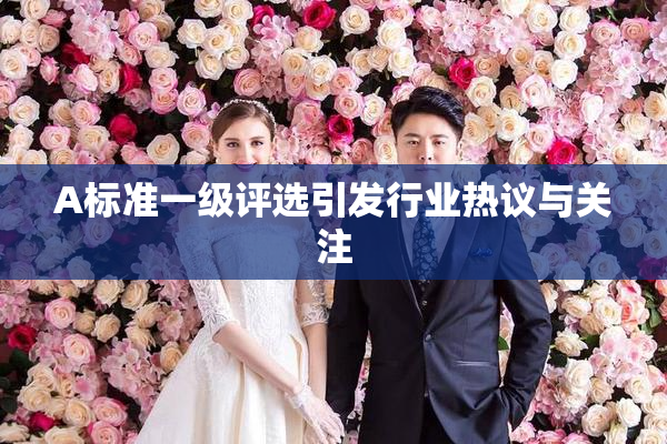 A标准一级评选引发行业热议与关注