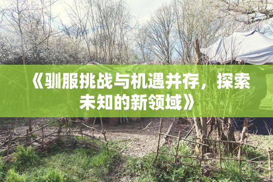 《驯服挑战与机遇并存，探索未知的新领域》