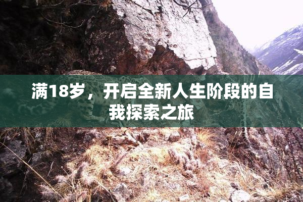 满18岁，开启全新人生阶段的自我探索之旅