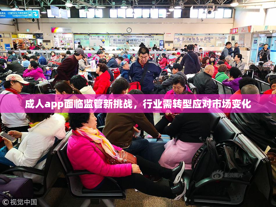 成人app面临监管新挑战，行业需转型应对市场变化
