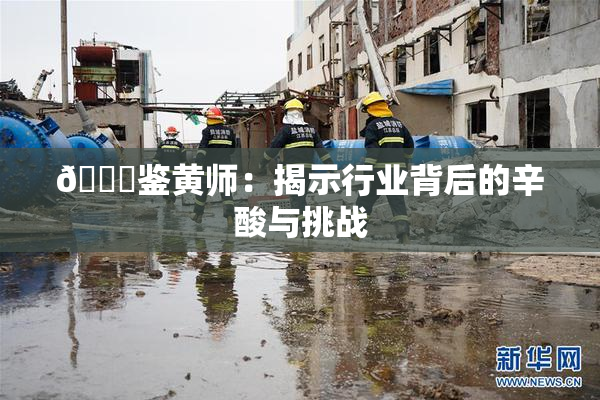 🔞鉴黄师：揭示行业背后的辛酸与挑战