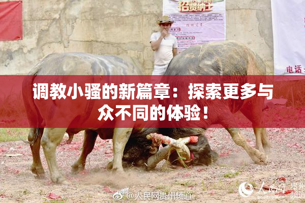 调教小骚的新篇章：探索更多与众不同的体验！