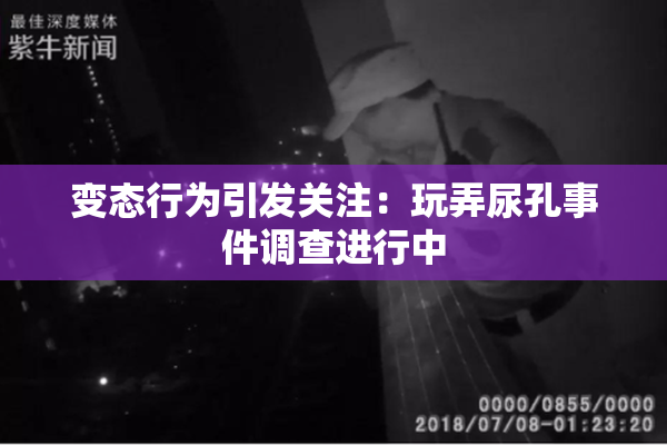 变态行为引发关注：玩弄尿孔事件调查进行中