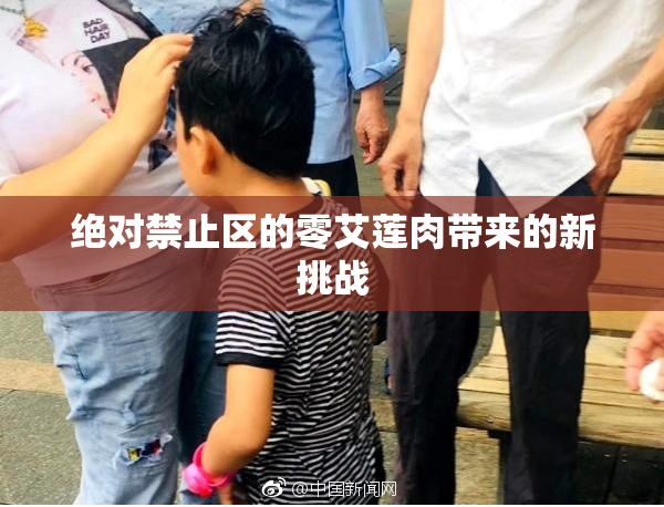 绝对禁止区的零艾莲肉带来的新挑战