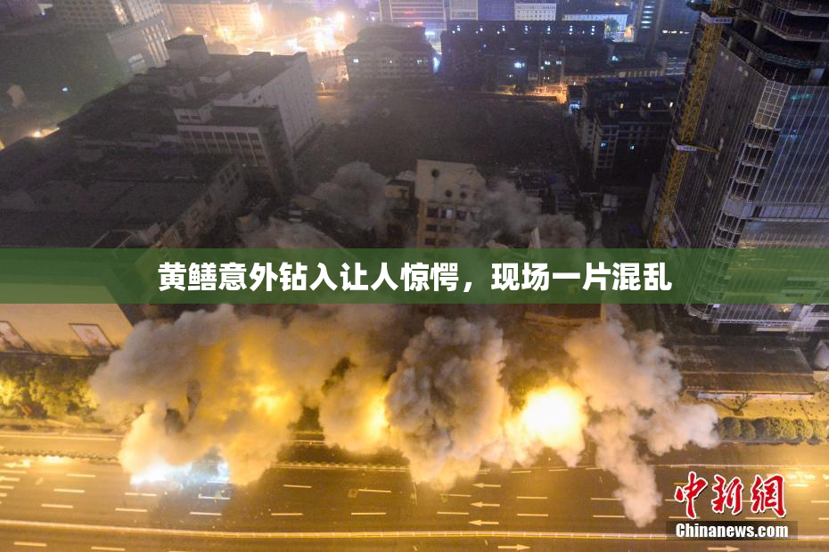 黄鳝意外钻入让人惊愕，现场一片混乱