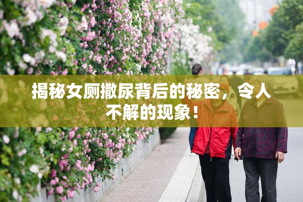 揭秘女厕撒尿背后的秘密，令人不解的现象！