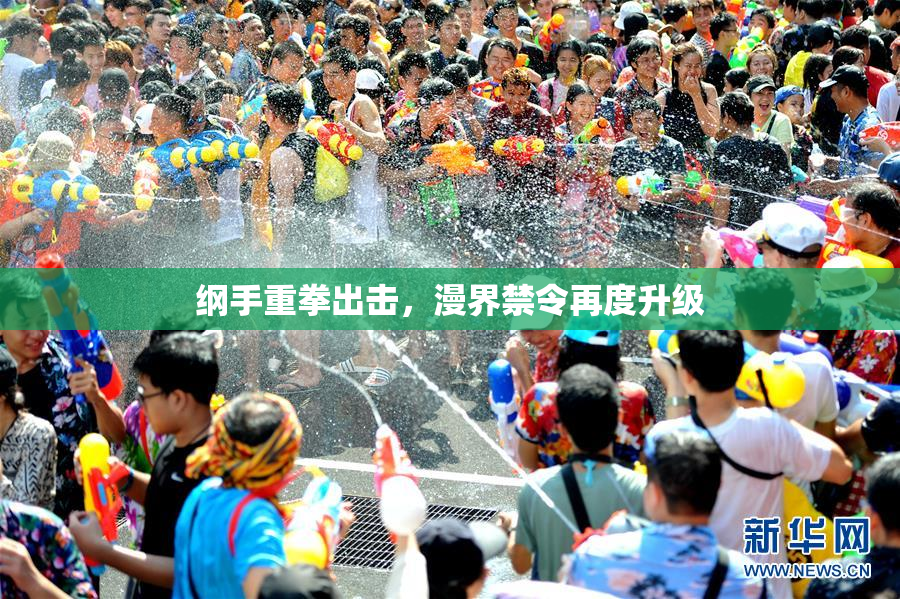 纲手重拳出击，漫界禁令再度升级