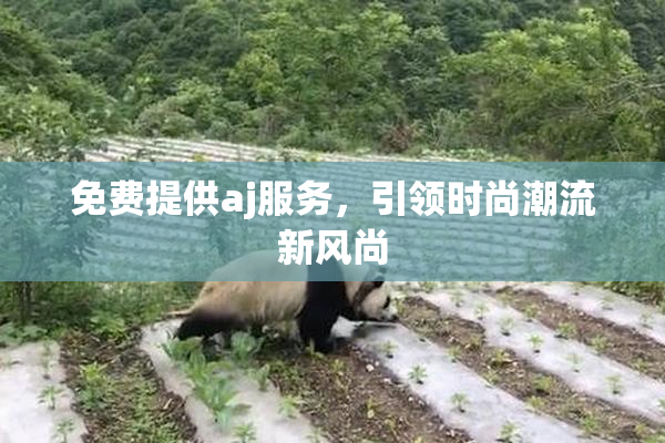 免费提供aj服务，引领时尚潮流新风尚