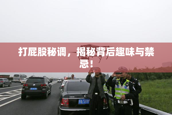 打屁股秘调，揭秘背后趣味与禁忌！