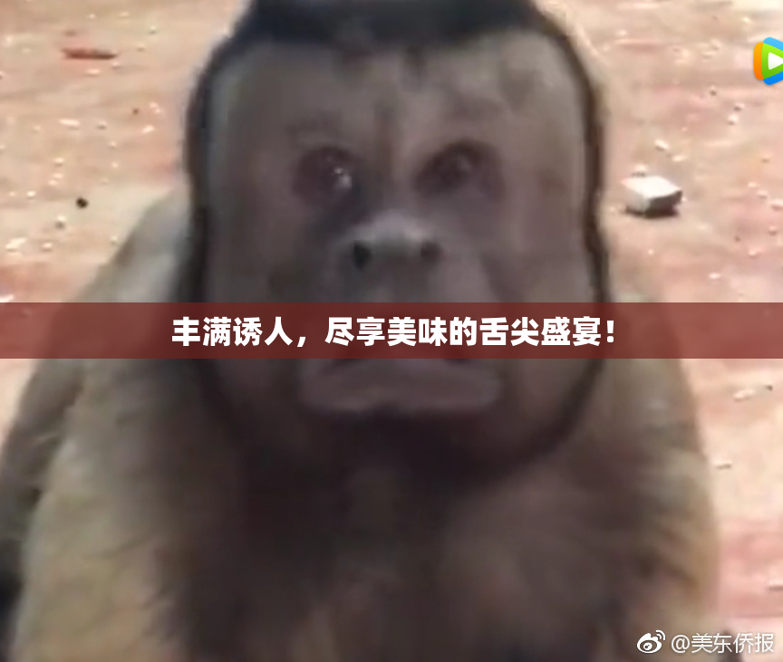 丰满诱人，尽享美味的舌尖盛宴！