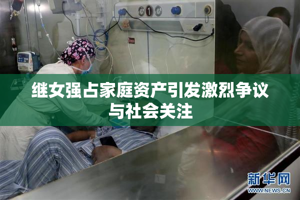 继女强占家庭资产引发激烈争议与社会关注