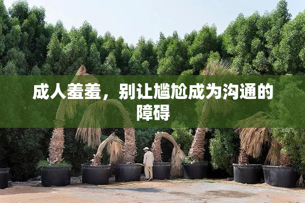 成人羞羞，别让尴尬成为沟通的障碍