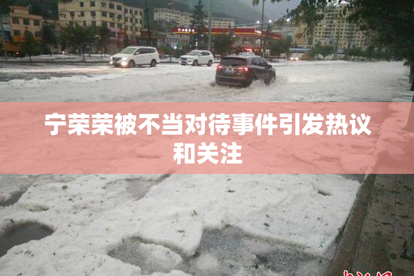 宁荣荣被不当对待事件引发热议和关注