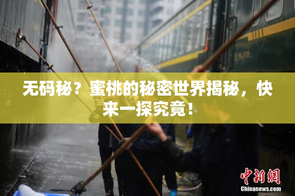无码秘？蜜桃的秘密世界揭秘，快来一探究竟！