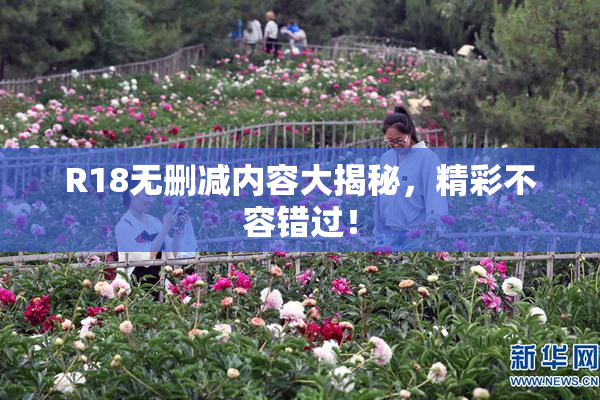 R18无删减内容大揭秘，精彩不容错过！