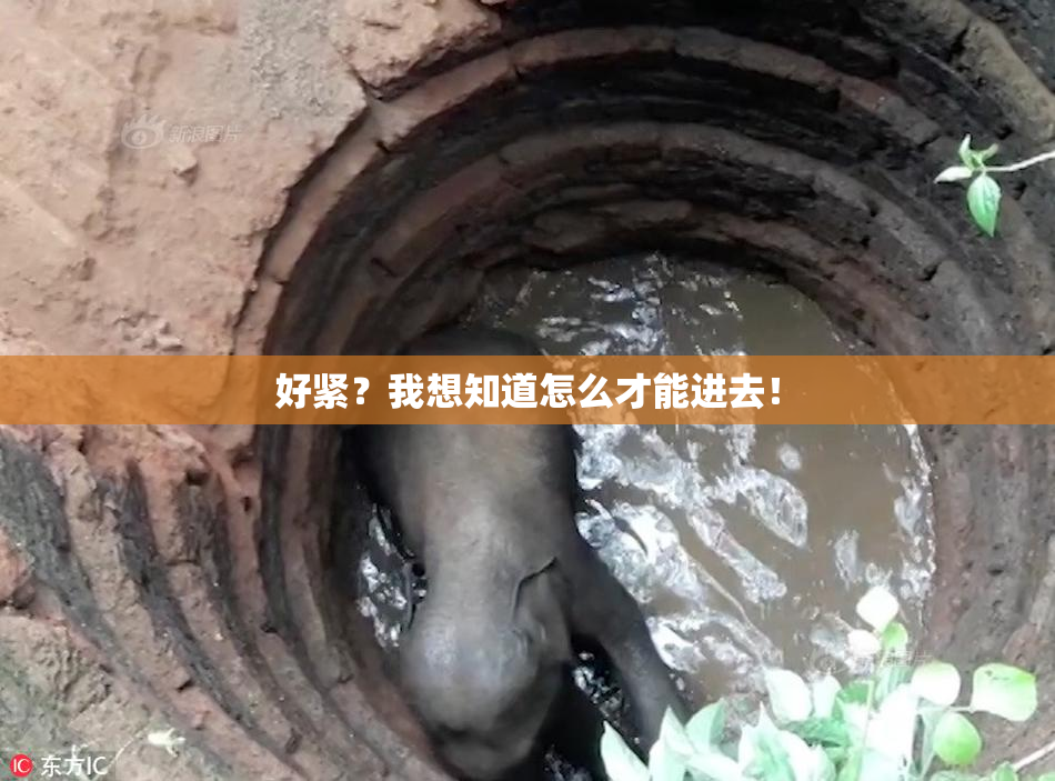 好紧？我想知道怎么才能进去！