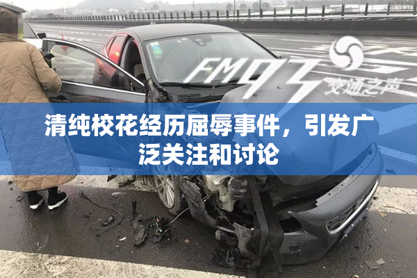 清纯校花经历屈辱事件，引发广泛关注和讨论