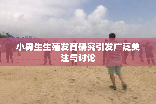 小男生生殖发育研究引发广泛关注与讨论