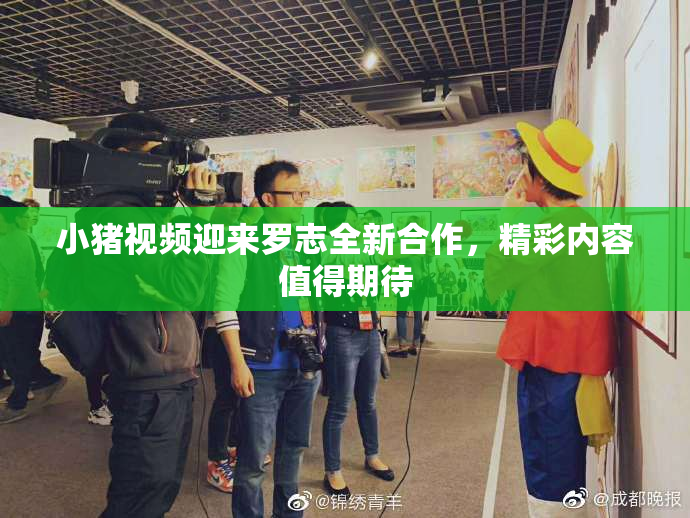 小猪视频迎来罗志全新合作，精彩内容值得期待