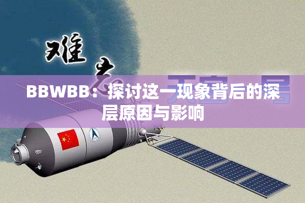 BBWBB：探讨这一现象背后的深层原因与影响