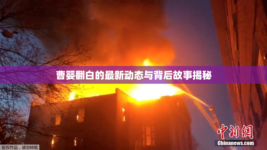 曹婴翻白的最新动态与背后故事揭秘