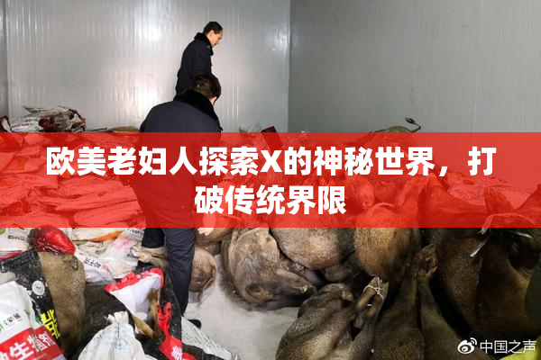 欧美老妇人探索X的神秘世界，打破传统界限