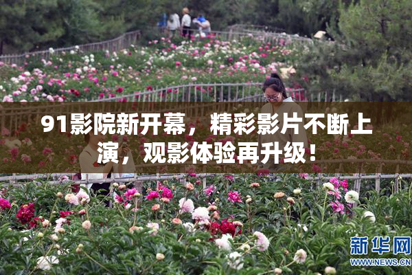 91影院新开幕，精彩影片不断上演，观影体验再升级！